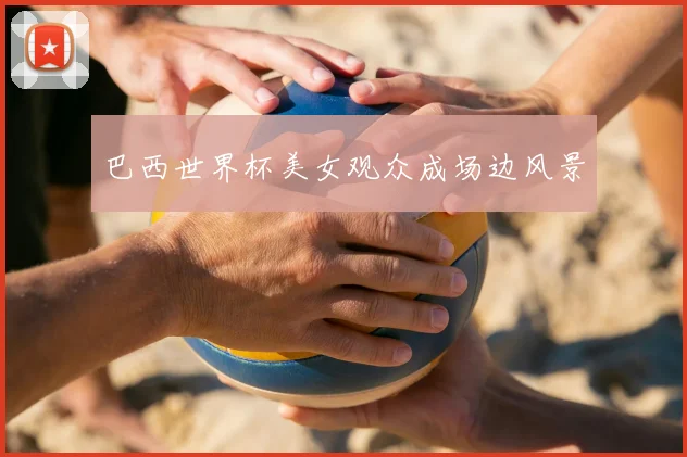 巴西世界杯美女观众成场边风景