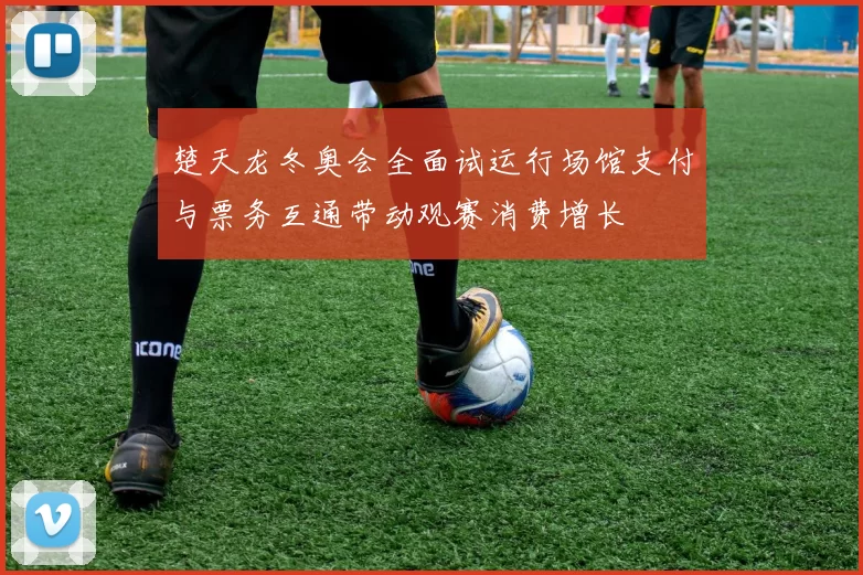 楚天龙冬奥会全面试运行场馆支付与票务互通带动观赛消费增长